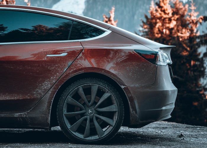 pexels-photo-14675274-14675274.jpg